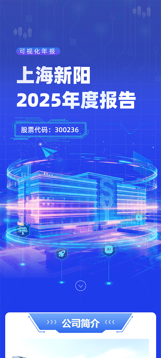 上海新阳2025年度报告