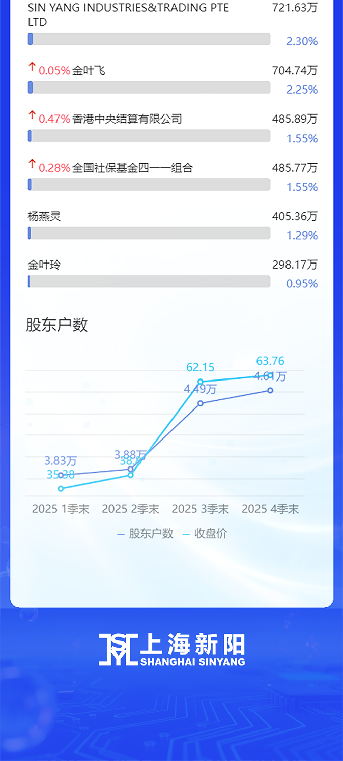 上海新阳2025年度报告