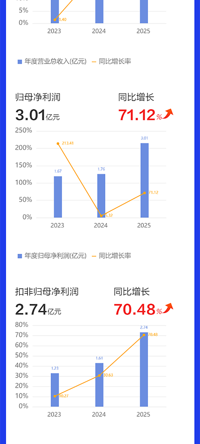 上海新阳2025年度报告