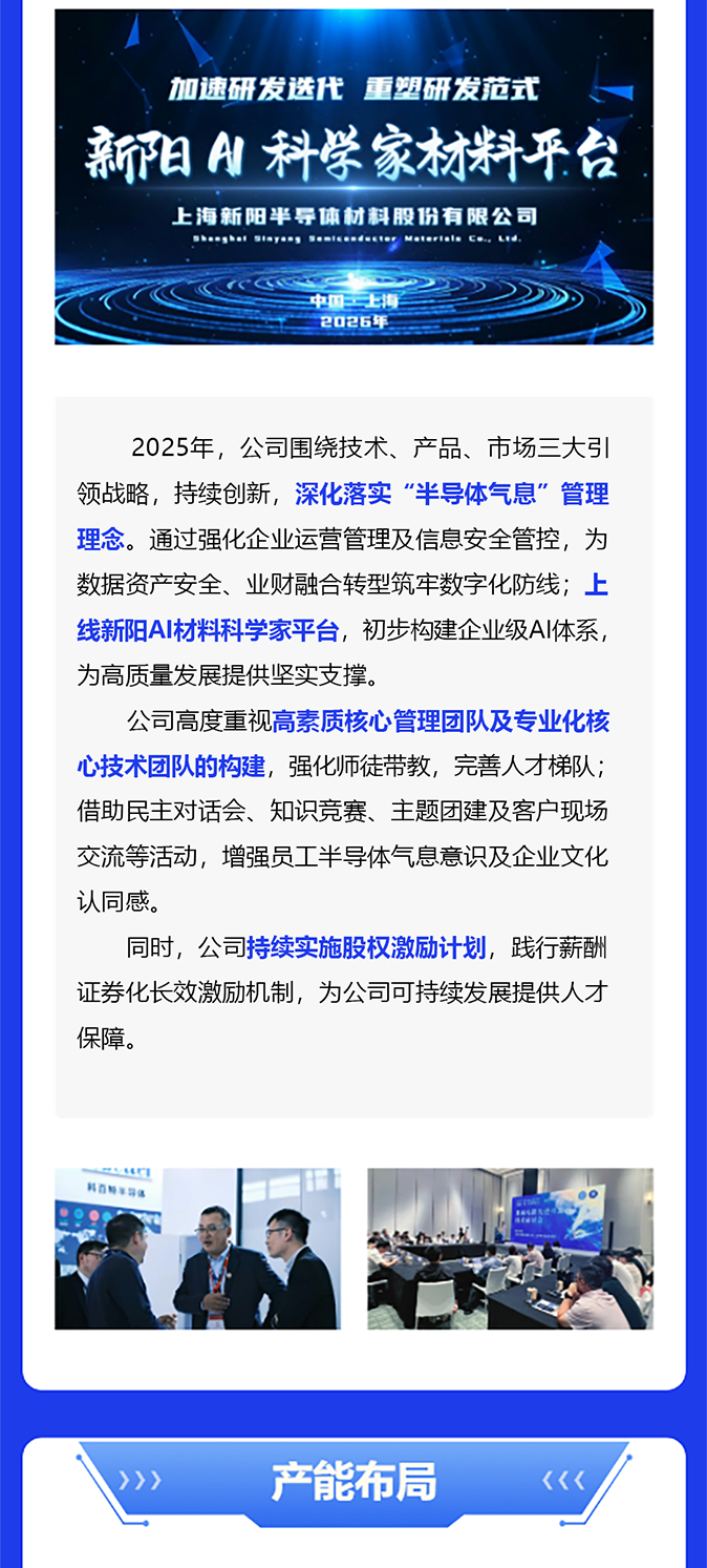 上海新阳2025年度报告