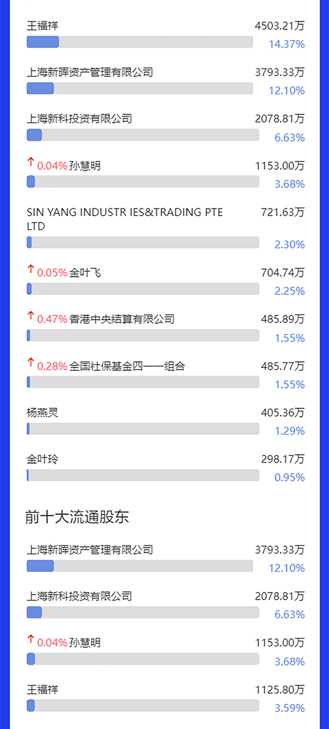 上海新阳2025年度报告