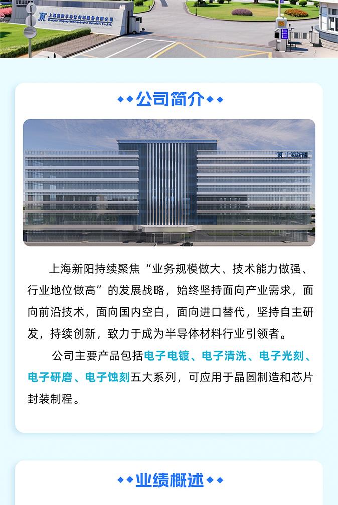 上海新阳2026年度报告