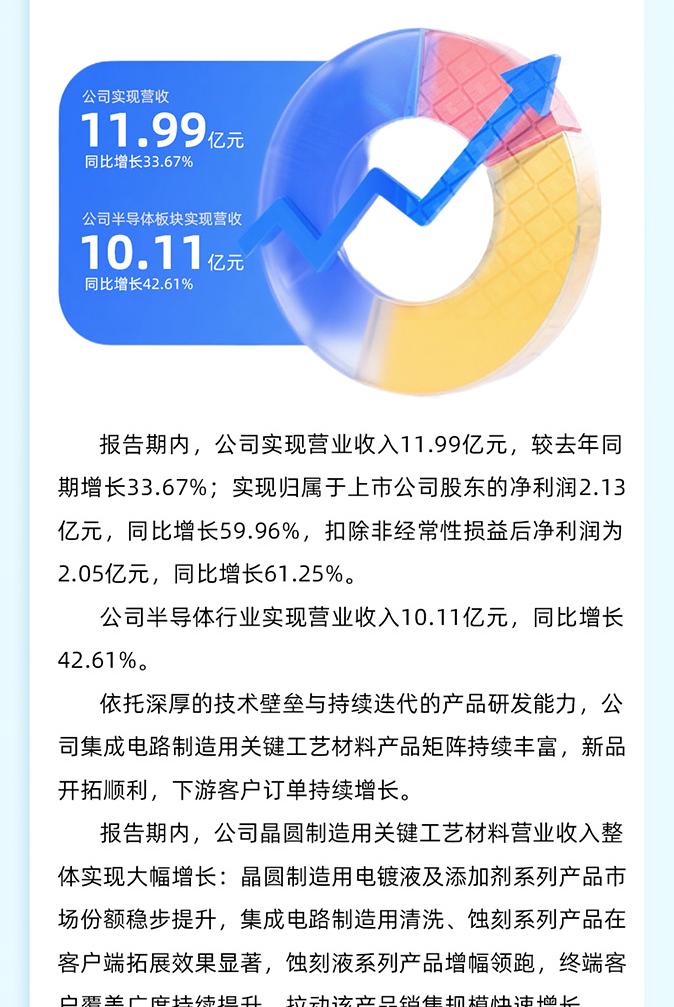 上海新阳2026年度报告