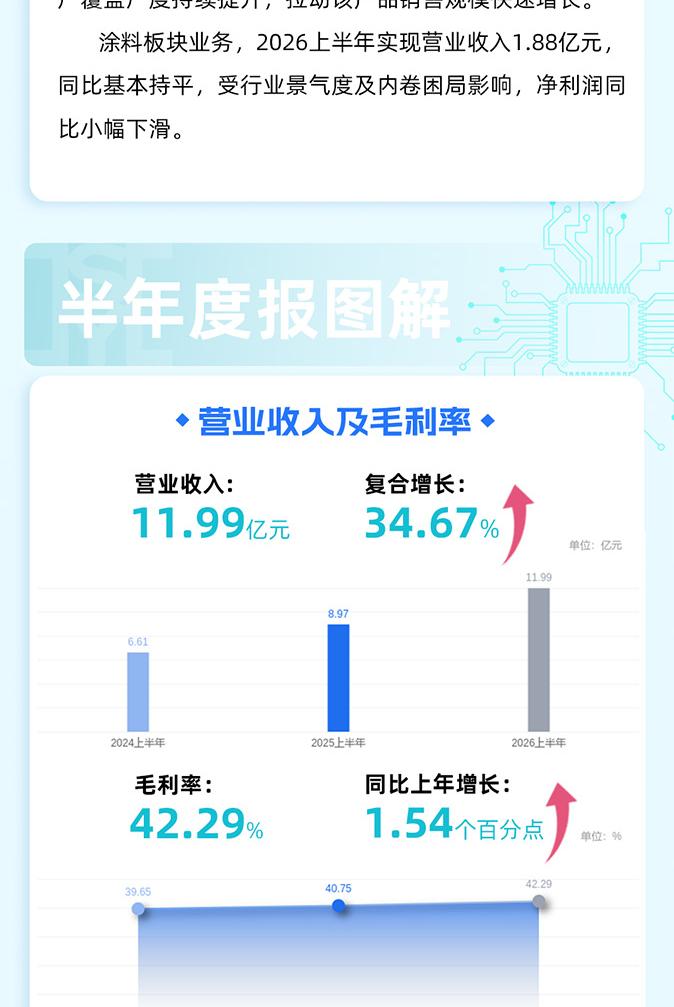 上海新阳2026年度报告
