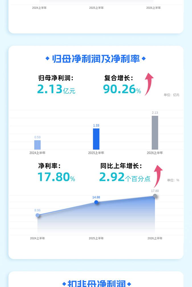 上海新阳2026年度报告