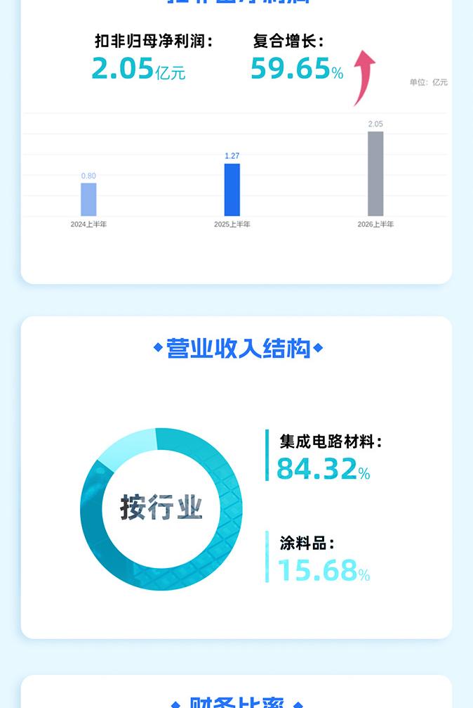 上海新阳2026年度报告