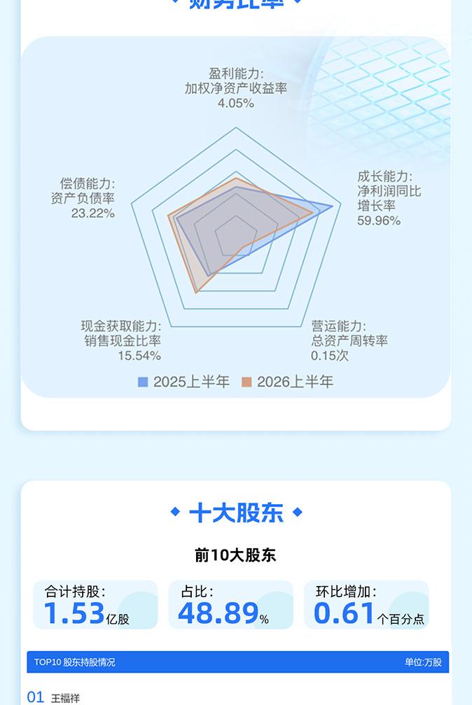 上海新阳2026年度报告