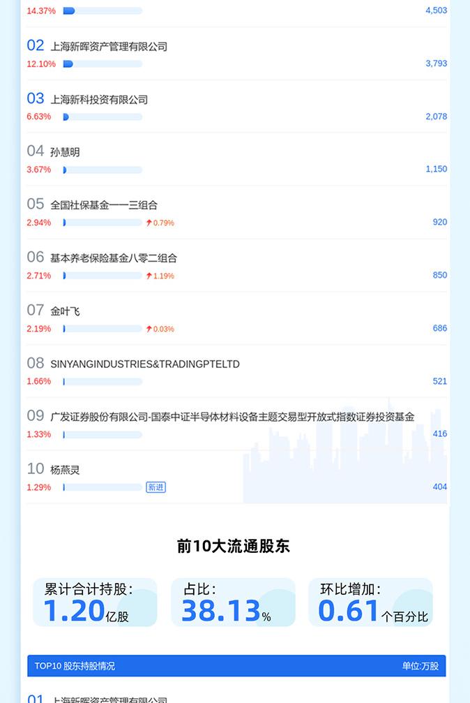上海新阳2026年度报告